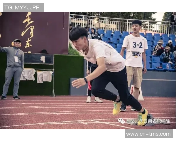 团结一心共追梦杭州网球队的团队协作与成长之路